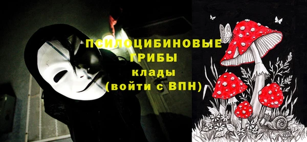 скорость Инта