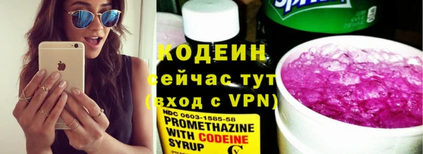 эйфоретик Инсар