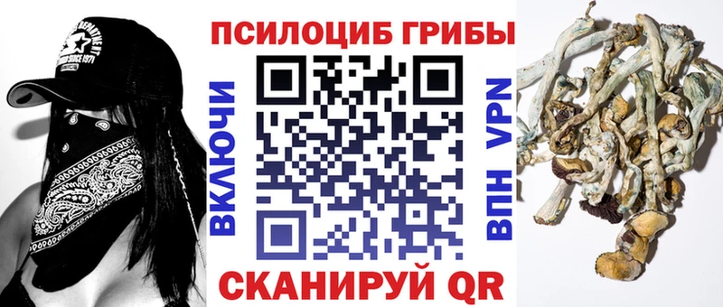 Купить закладки  Славянск-на-Кубани  Галлюциногенные грибы GOLDEN TEACHER 