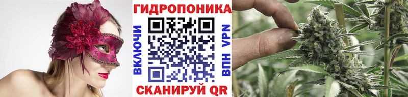 Купить закладки  Славянск-на-Кубани  Бошки Шишки LSD WEED 